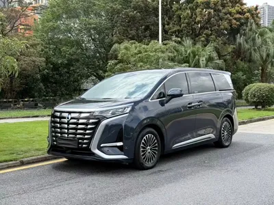 Denza Denza D9