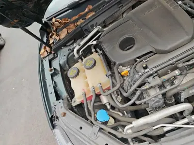 MG MG7