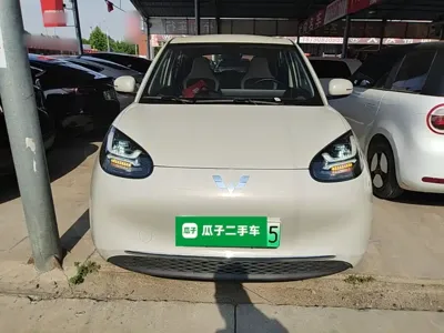 Wuling Bingo