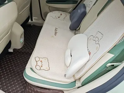 ORA Ora Good Cat