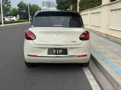 Wuling Bingo