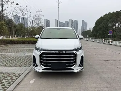 大通 G20
