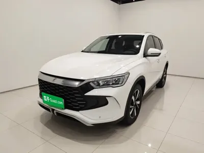 BYD Pro New Energy