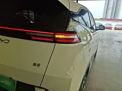 BYD Seagull