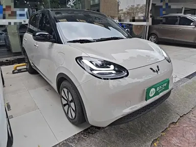 Wuling Bingo