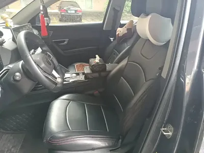 BYD Pro New Energy