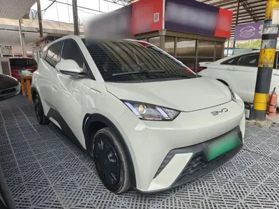 BYD Seagull