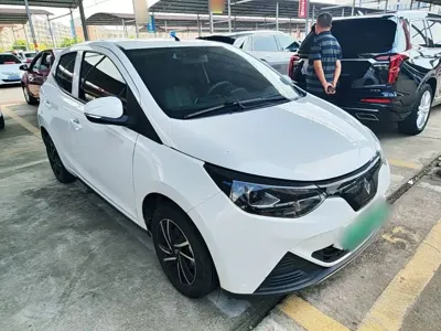 JMEV EV2
