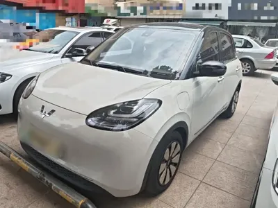 Wuling Bingo