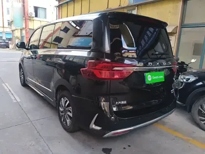 Maxus G20