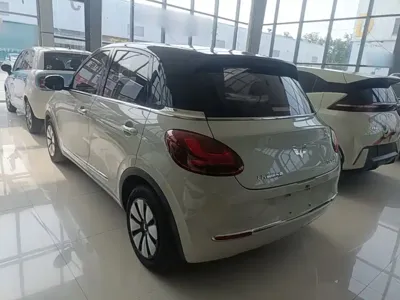 Wuling Bingo