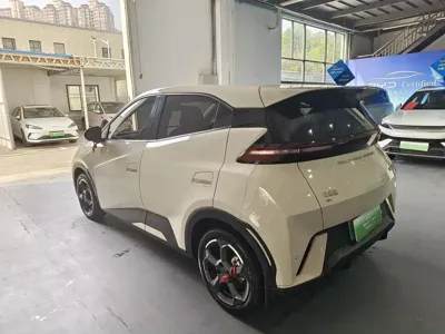 BYD Seagull