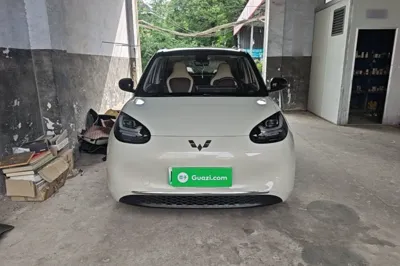 Wuling Bingo