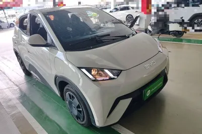 BYD Seagull