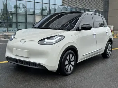 Wuling Bingo