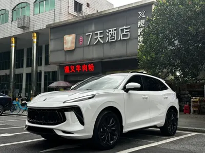 Fengxing Fengxing T5 EVO