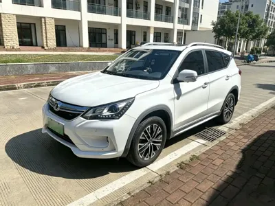 BYD New Energy