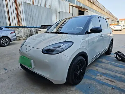 Wuling Bingo