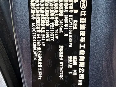 BYD 海豹06