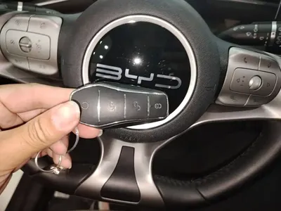 BYD Dolphin