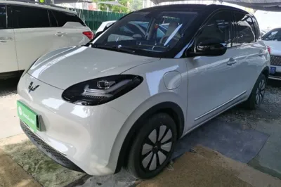 Wuling Bingo