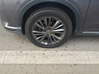 NETA Neta V