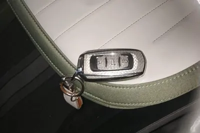Geely Galaxy Panda