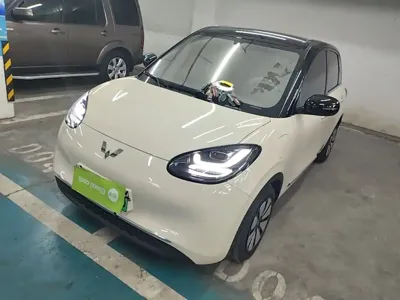 Wuling Bingo