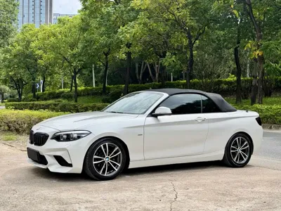 BMW 2 Series (Import)