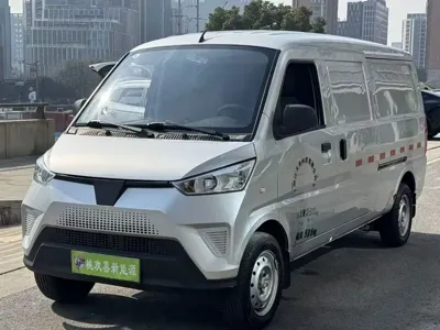 Wuling Wuling EV50