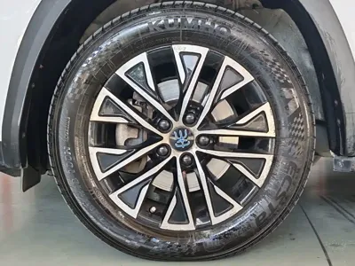 BYD New Energy