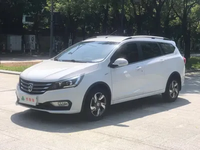 Baojun 310W