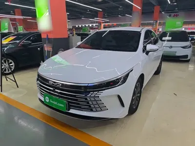 BYD Destroyer 05