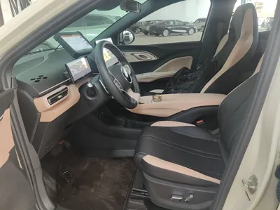 BYD Seagull