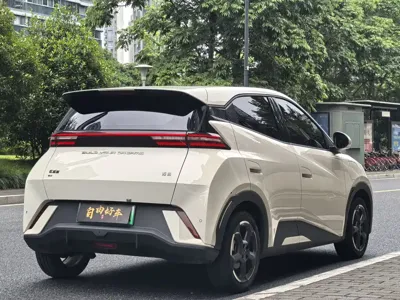 BYD Seagull