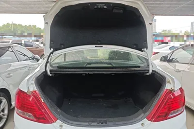 BYD Surui
