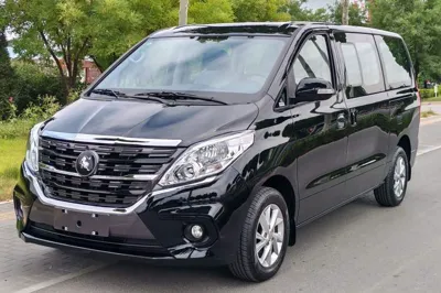 Forthing Lingzhi PLUS