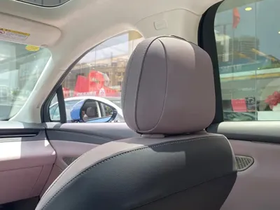 Hongqi 红旗天工06