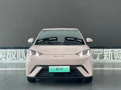 BYD Seagull