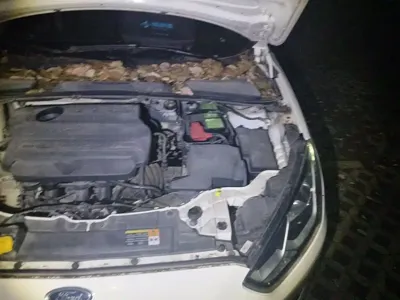 Ford Escort