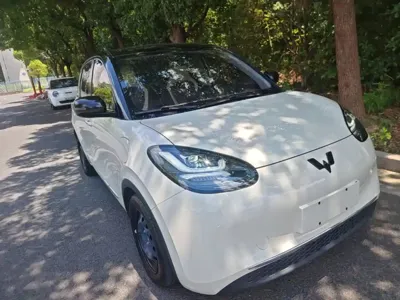Wuling Bingo