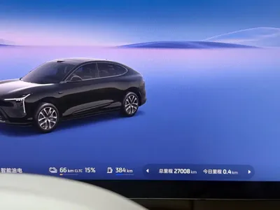 IM IM LS6
