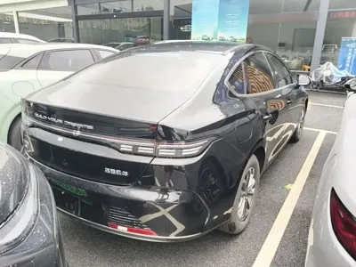 BYD Destroyer 05