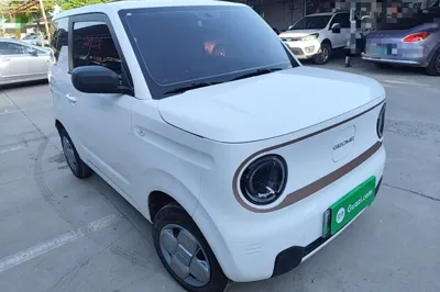 Geely Galaxy Panda