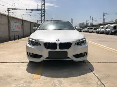 BMW 2 Series (Import)