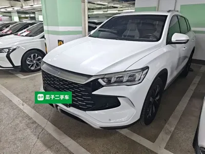 BYD Pro New Energy