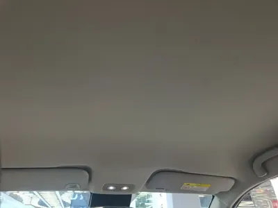 NETA Neta V