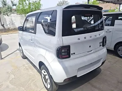 Galaxy Panda