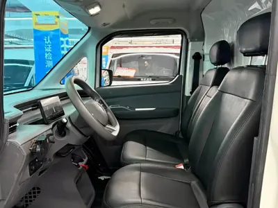 Foton 风景i