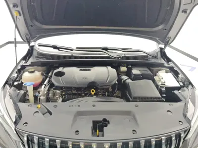 Geely Binrui